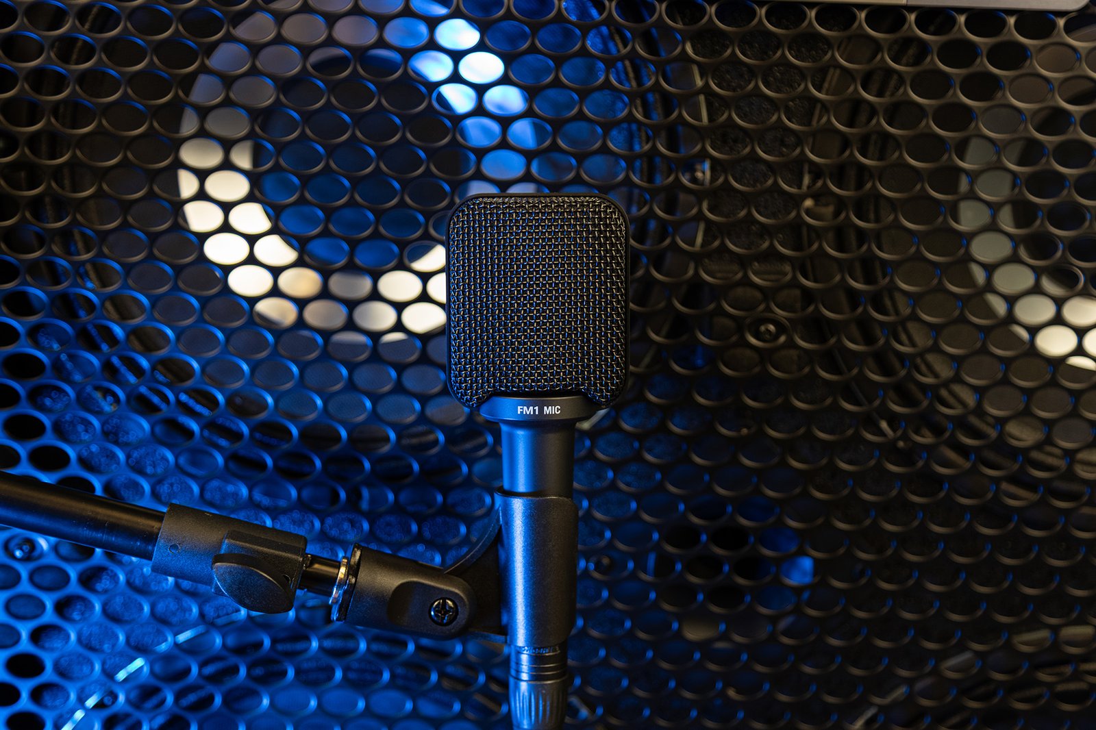 FM1 Recording Bass Cabinet